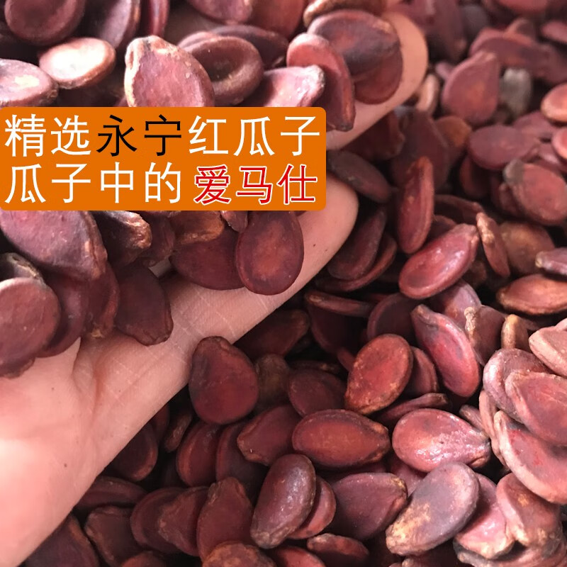 雋顏堂水煮五香咸味紅瓜子原味江西水煮西瓜子大片散裝辦公室休閑零食
