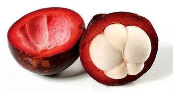 你每天都吃的南方水果 你知道是這樣長出來的嗎