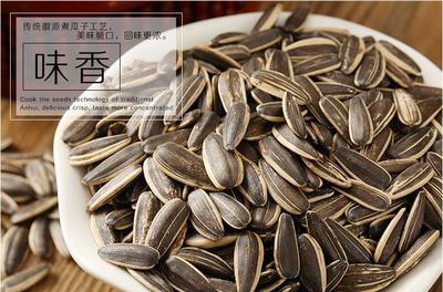 品味休閑時光 招商徽記五香瓜子，舌尖上的炒貨藝術