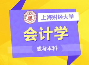 上海成考擇校指南 名校聚集，專業齊全，助力職場人輕松提升學歷